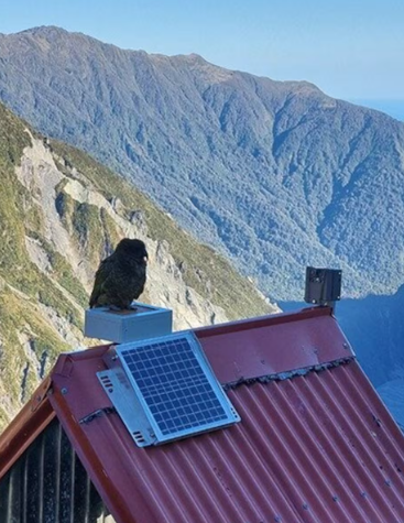 Kea on RFID Reader